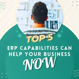 ERP Capabilities